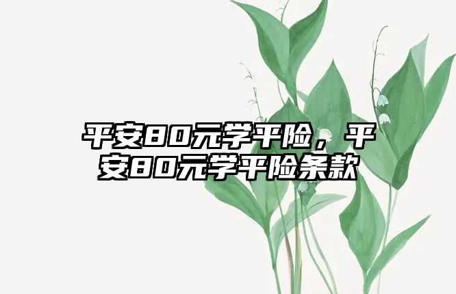 平安80元學平險，平安80元學平險條款