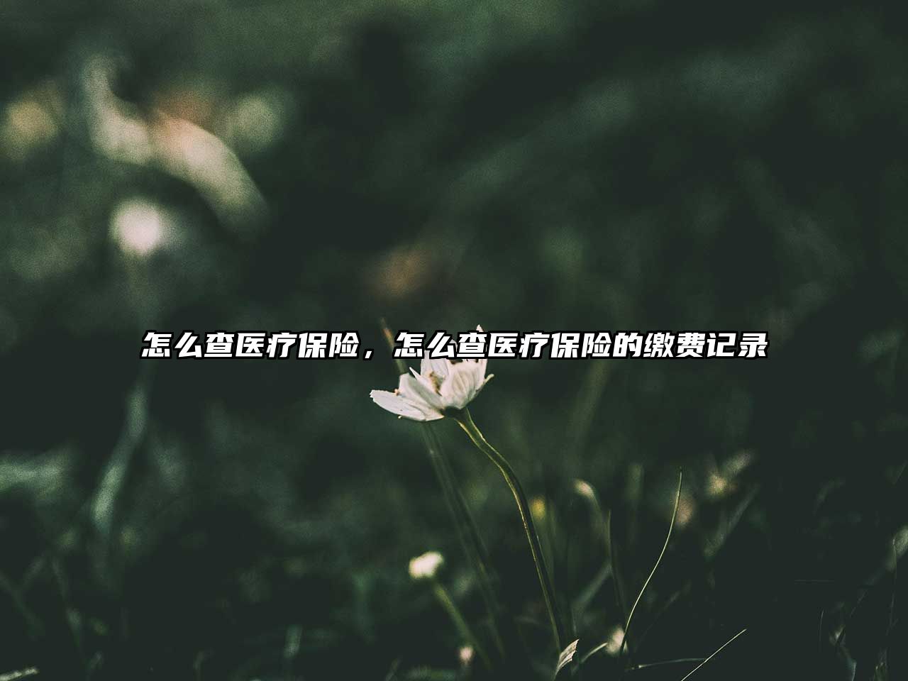 怎么查醫(yī)療保險，怎么查醫(yī)療保險的繳費記錄