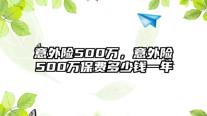 意外險(xiǎn)500萬，意外險(xiǎn)500萬保費(fèi)多少錢一年