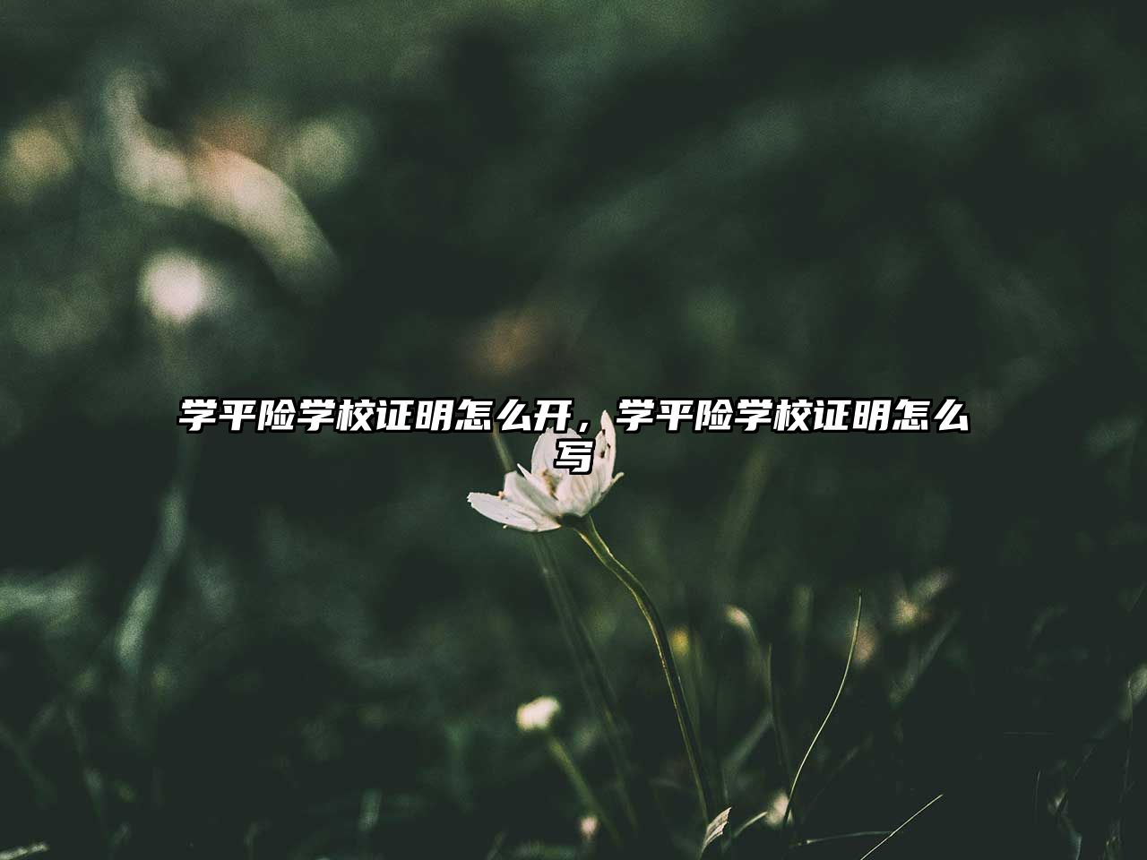 學(xué)平險(xiǎn)學(xué)校證明怎么開，學(xué)平險(xiǎn)學(xué)校證明怎么寫