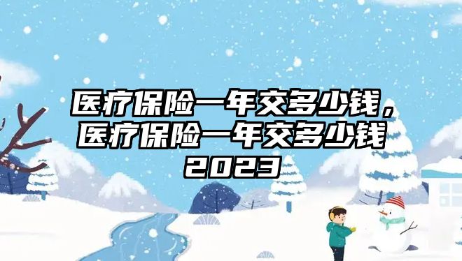 醫(yī)療保險一年交多少錢，醫(yī)療保險一年交多少錢2023