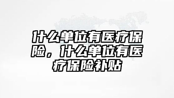 什么單位有醫(yī)療保險，什么單位有醫(yī)療保險補(bǔ)貼