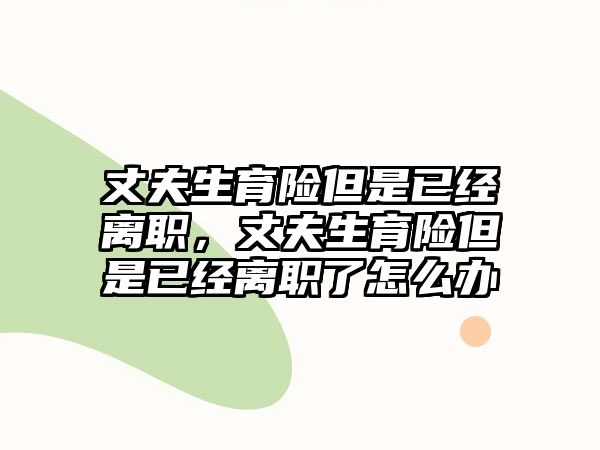 丈夫生育險(xiǎn)但是已經(jīng)離職，丈夫生育險(xiǎn)但是已經(jīng)離職了怎么辦