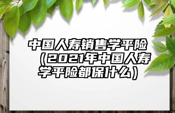 中國人壽銷售學平險（2021年中國人壽學平險都保什么）