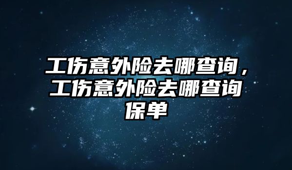 工傷意外險去哪查詢，工傷意外險去哪查詢保單