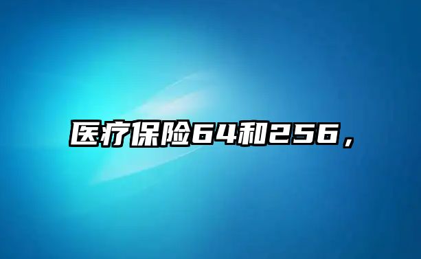 醫(yī)療保險64和256，