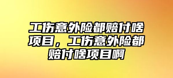 工傷意外險都賠付啥項目，工傷意外險都賠付啥項目啊