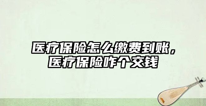 醫(yī)療保險怎么繳費到賬，醫(yī)療保險咋個交錢