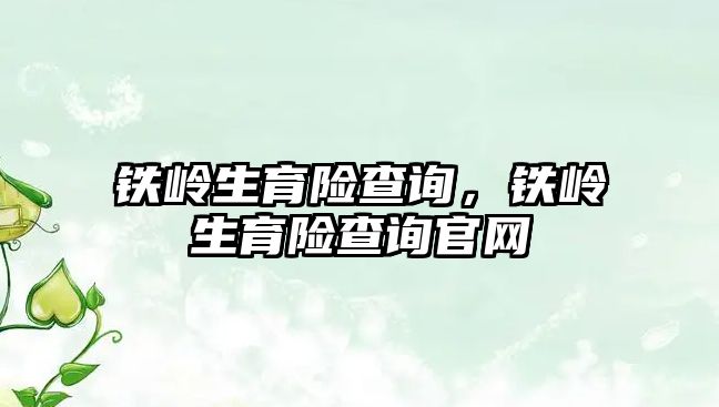 鐵嶺生育險查詢，鐵嶺生育險查詢官網(wǎng)