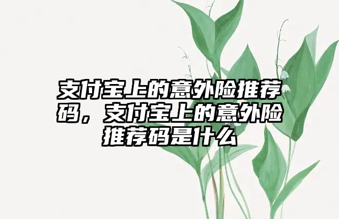 支付寶上的意外險推薦碼，支付寶上的意外險推薦碼是什么