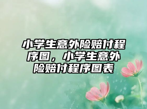 小學(xué)生意外險賠付程序圖，小學(xué)生意外險賠付程序圖表