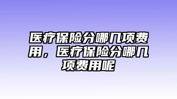 醫(yī)療保險分哪幾項費用，醫(yī)療保險分哪幾項費用呢