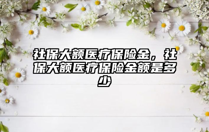 社保大額醫(yī)療保險金，社保大額醫(yī)療保險金額是多少