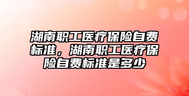 湖南職工醫(yī)療保險自費標準，湖南職工醫(yī)療保險自費標準是多少