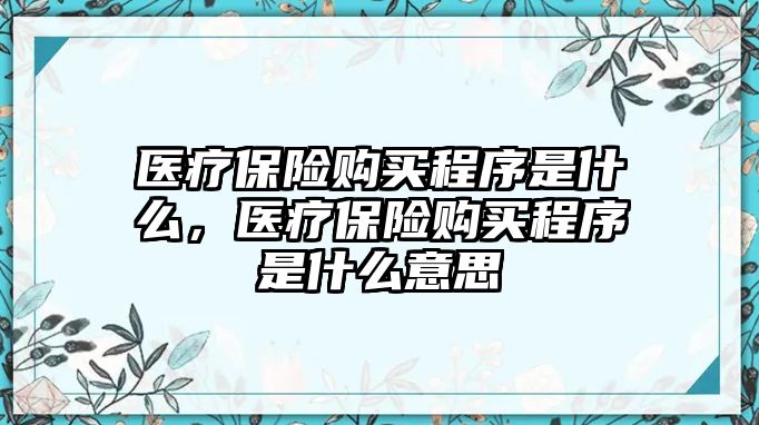 醫(yī)療保險購買程序是什么，醫(yī)療保險購買程序是什么意思